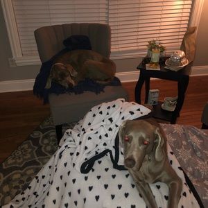 Meet your Posher, Brady